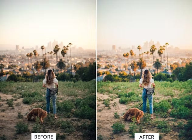 10 Perfect Instagram Lightroom Preset
