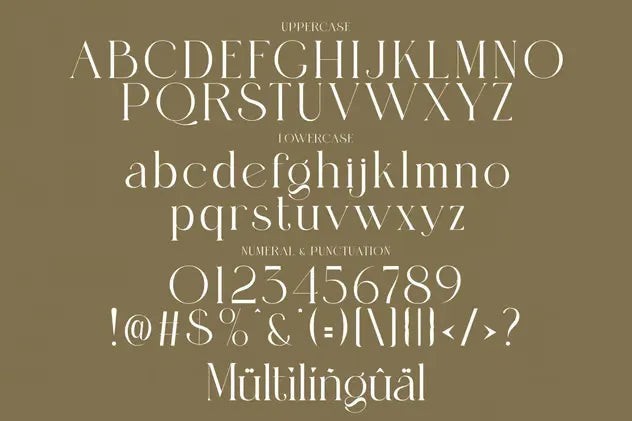 Mangro Elegant Serif Typeface