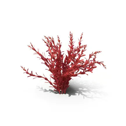 Artificial Rotala Aquatic Plant Red