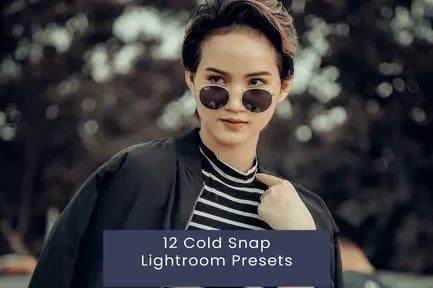 12 Cold Snap Lightroom Presets