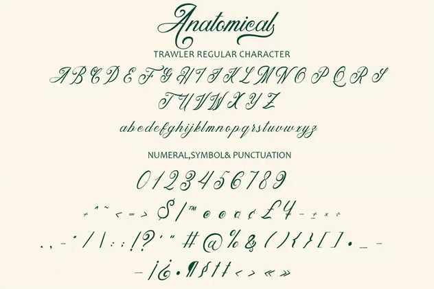 Anatomical - Elegant Script Font