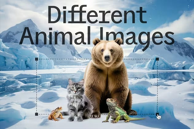 Animal Collage Creator