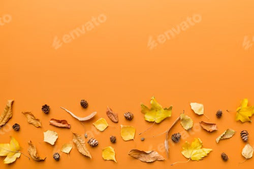 Autumn composition. Pattern made of dried leaves and other design accessories