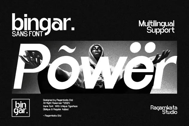 Bingar - Modern Sans Display Font