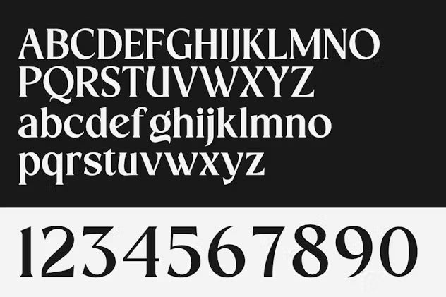 Erstoria Bold Serif Display Font