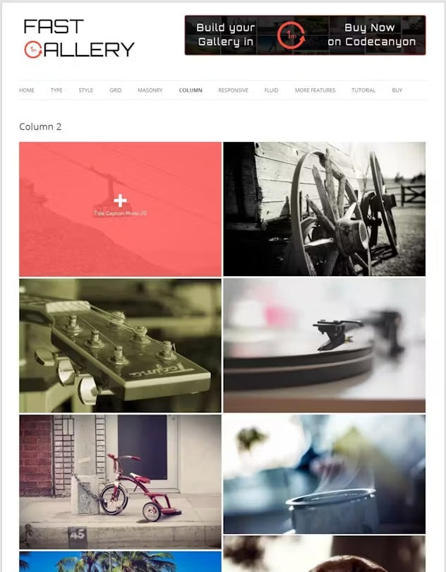 Fast Gallery - Premium Wordpress Plugin
