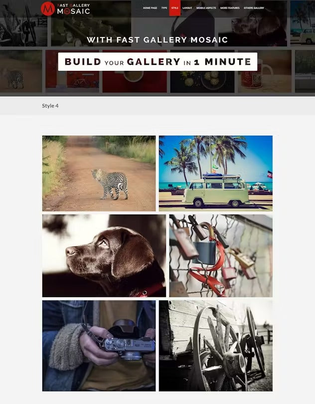 Fast Gallery Mosaic - Wordpress Plugin