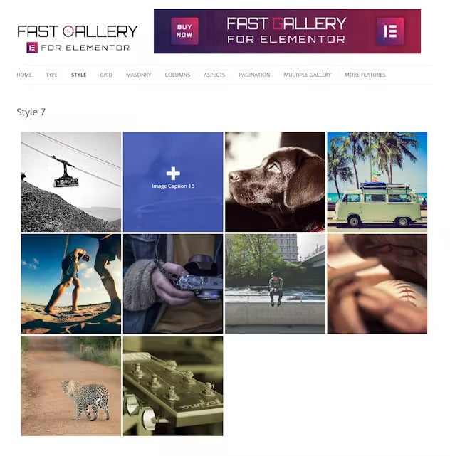 Fast Gallery for Elementor WordPress Plugin