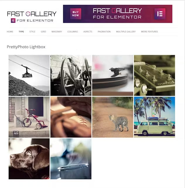 Fast Gallery for Elementor WordPress Plugin