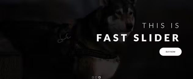 Fast Slider - Easy and Fast - Slider Plugin for WP