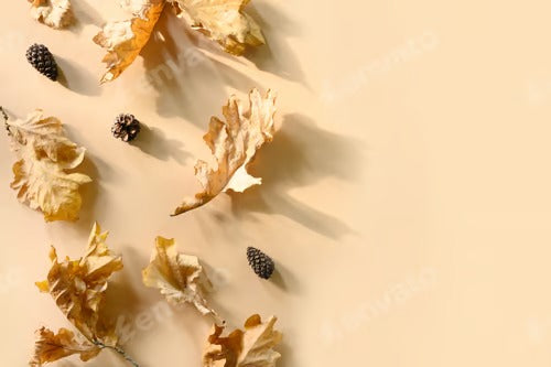 Frame of fallen golden oak leaves on beige background. Autumn pattern. View from above.