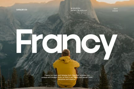 Francy Modern Sans Display Font