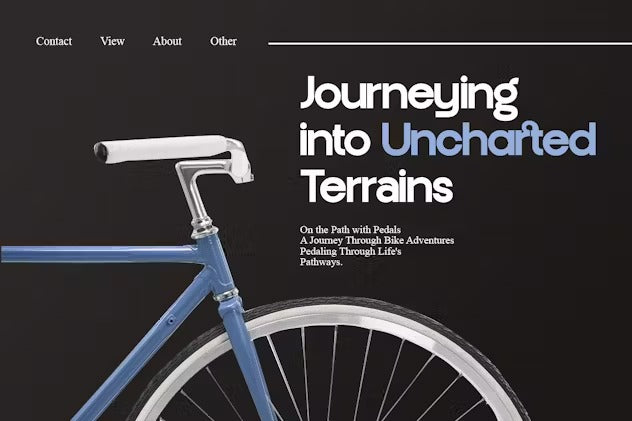 Francy Modern Sans Display Font