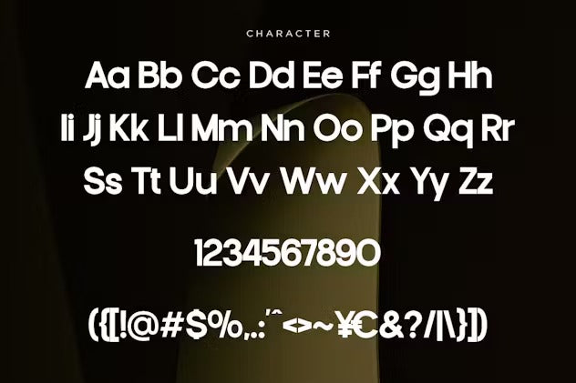 Francy Modern Sans Display Font