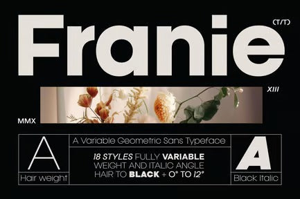 Franie Geometric Sans Font