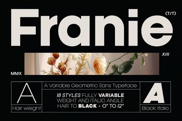 Franie Geometric Sans Font