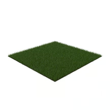 Grass