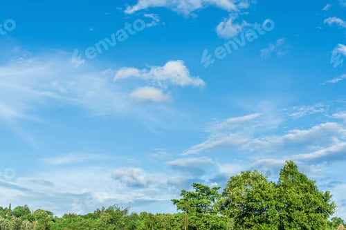 Green trees against the blue sky and white clouds float in the sky on a clear day