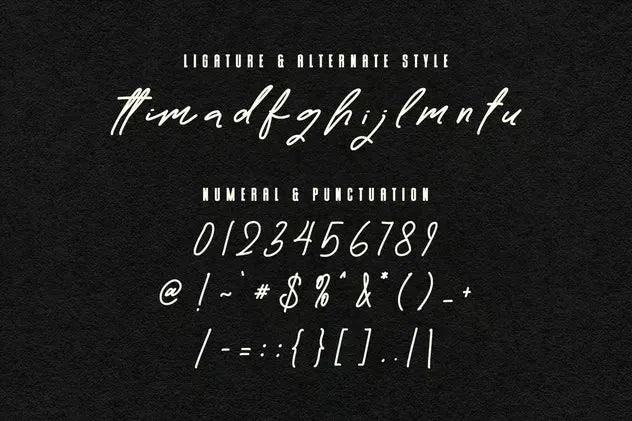 Hajime Font Duo