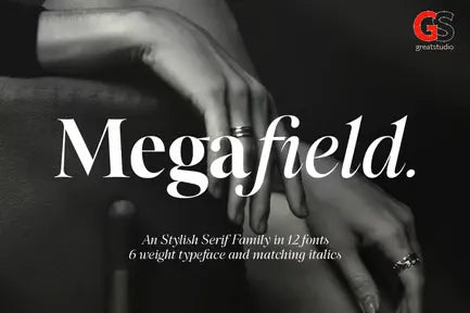 Megafield Font Family