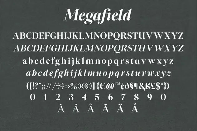 Megafield Font Family