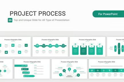 Project Process PowerPoint