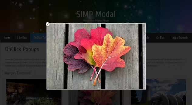 Simp Modal Window - WordPress Plugin