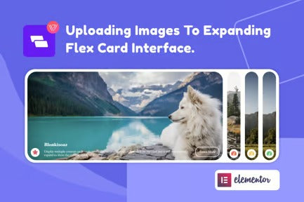 Wiloke Expanding Flex Cards Elementor Addon