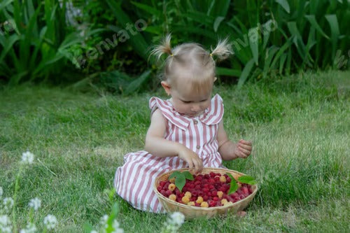 a little girl eats a raspberry. Selective focus