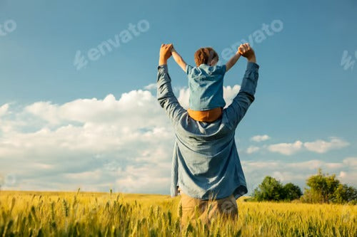 father and son in wheat field, child sitting on his fathers shoulders