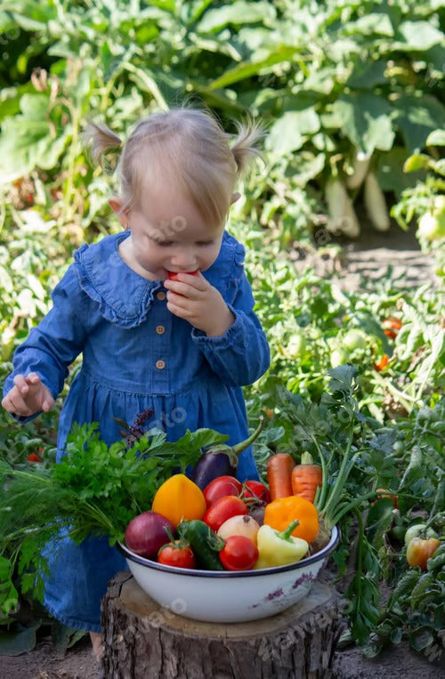 little girl freshly picked vegetables in a bowl. Selective focus