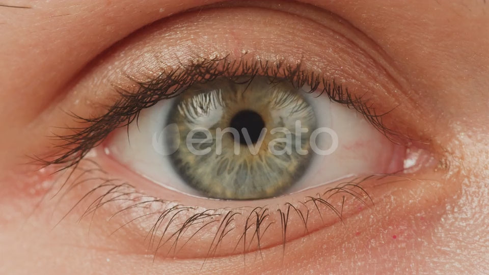 Closeup of Green Eyed Woman with No Makeup